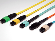 A tera jeżdża do roboty na kole.